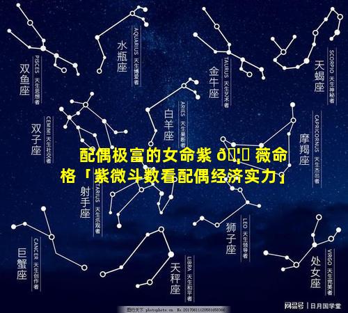 配偶极富的女命紫 🦋 薇命格「紫微斗数看配偶经济实力」